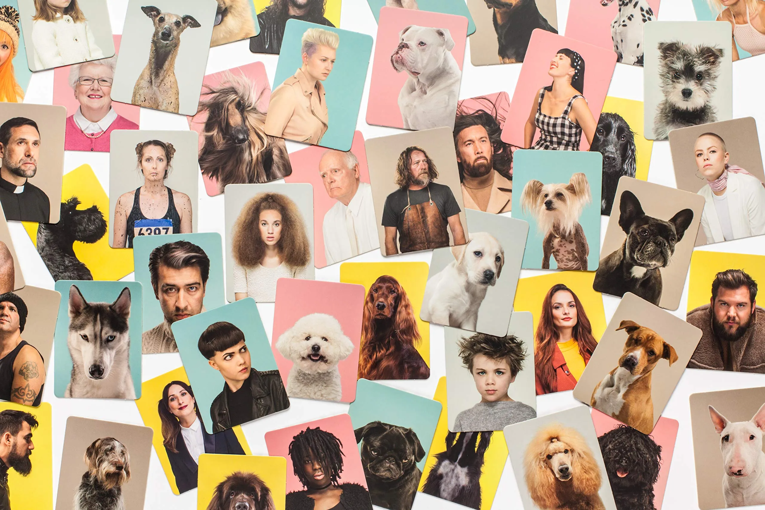 DO YOU LOOK LIKE YOUR DOG MEMORY GAME