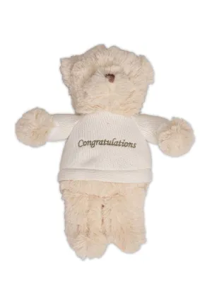 Microwavable Warmies -Teddy