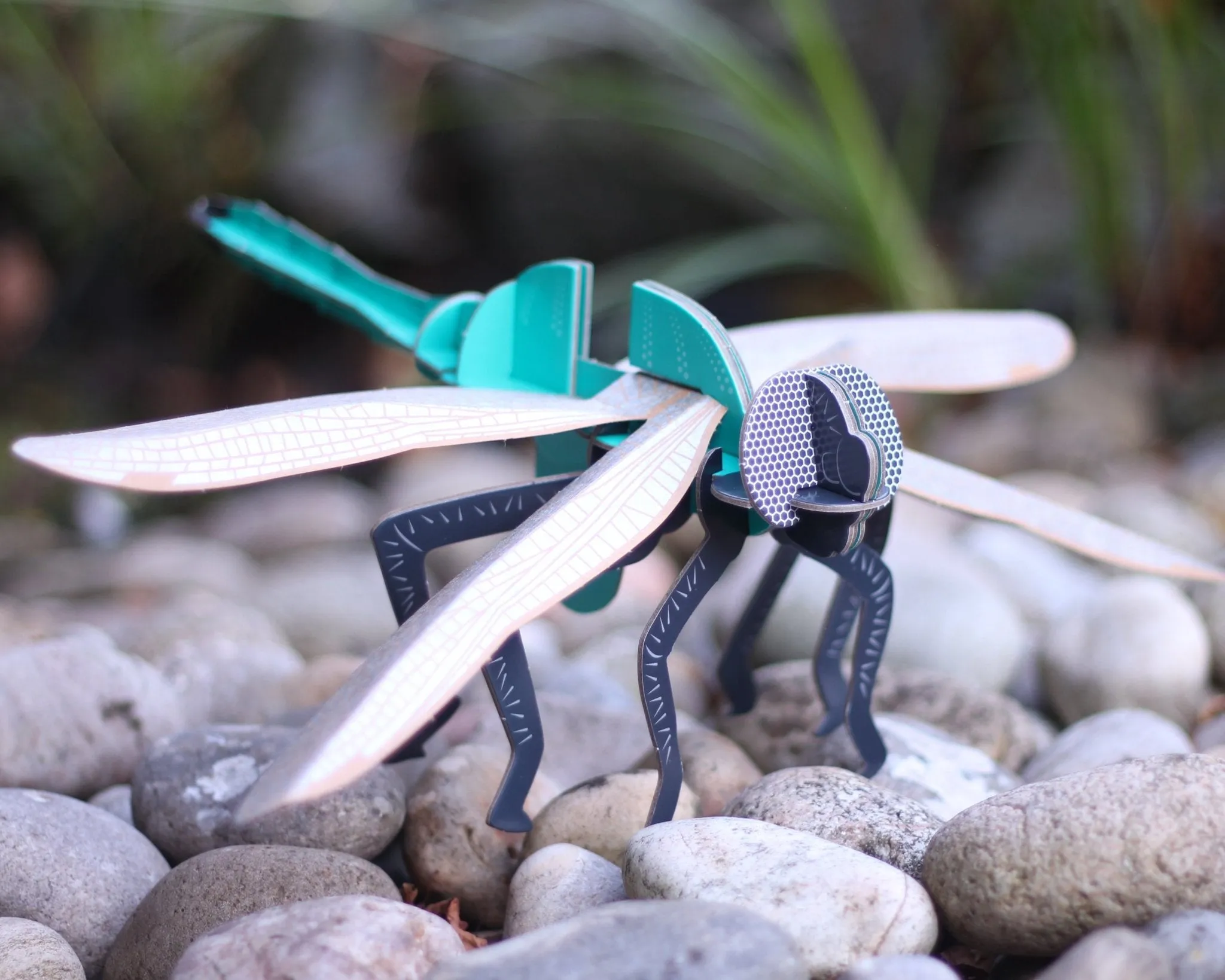 STEM Build - Dragonfly with Moving Mechanisms