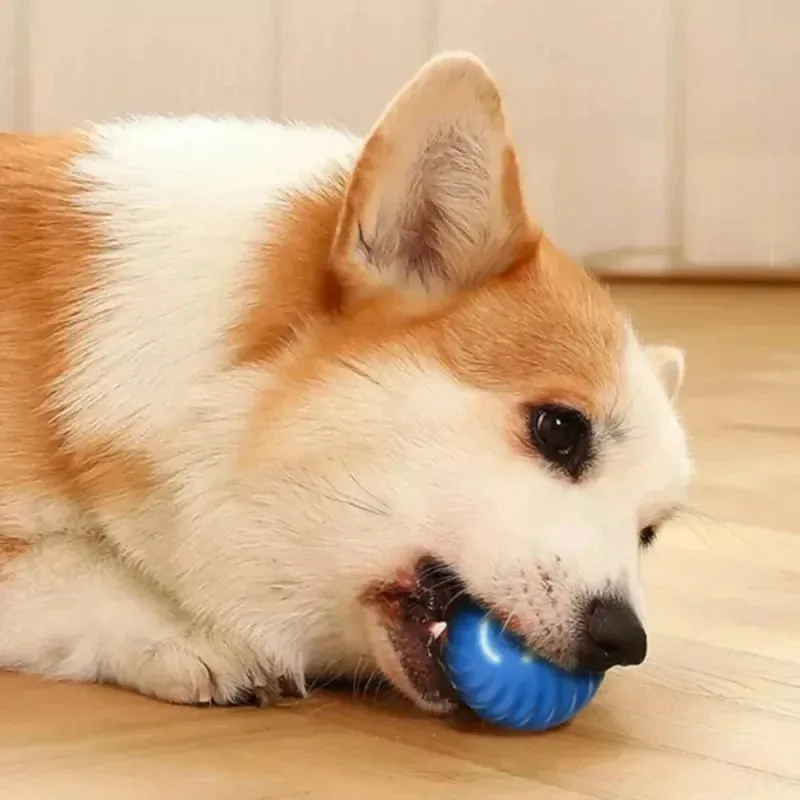 USB Smart Bouncing Dog Toy Ball